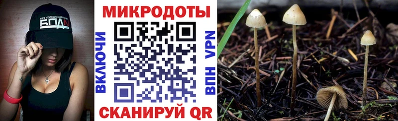 Псилоцибиновые грибы MAGIC MUSHROOMS  купить  цена  Ужур 